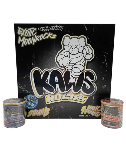 KAWS Exotic Moonrocks — moonrock
