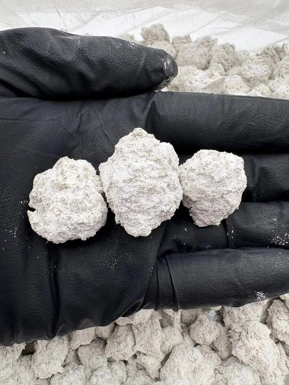 Lemon Cherry Push Pop – STY220 — snowcaps and snowball, photo 1 of 2
